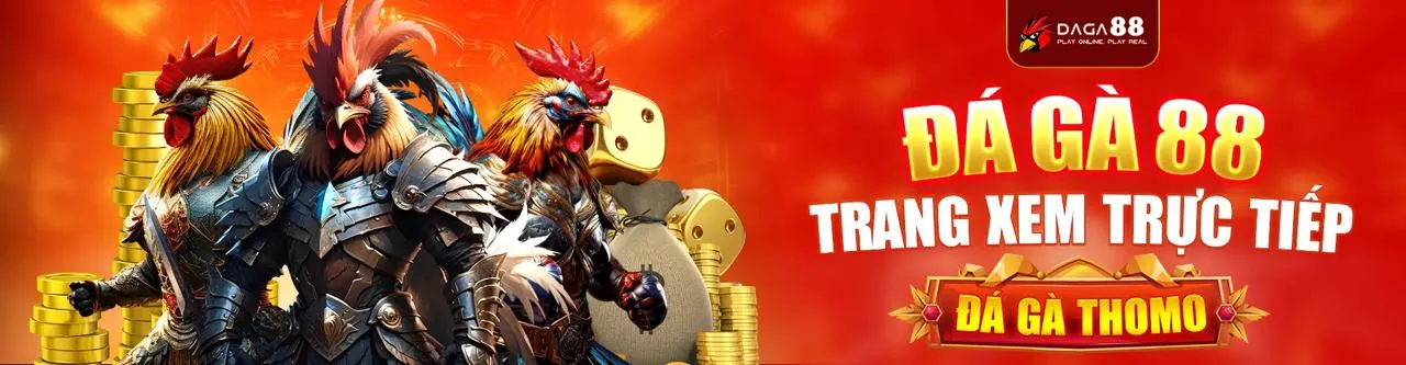 Sân vận động sôi động với logo AE789 Casino
