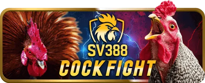 Chương trình VIP ae789 casino với phần thưởng độc quyền